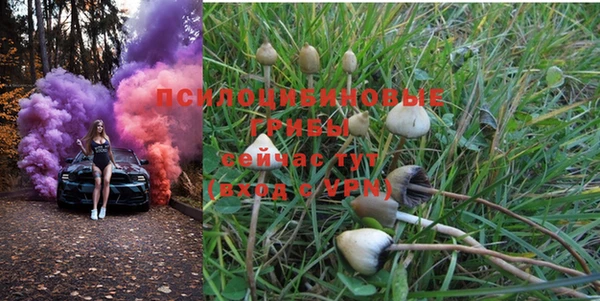 PSILOCYBIN Мегион