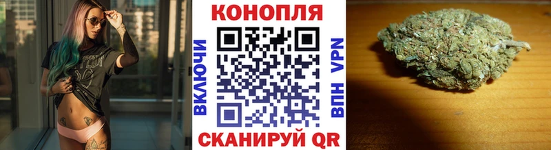 Конопля MAZAR Мыски